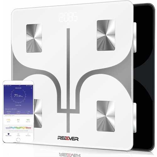 body fat scale with app